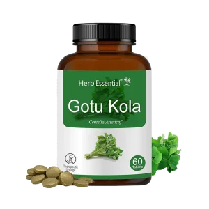 Gotu<br> Kola 500mg Tablets